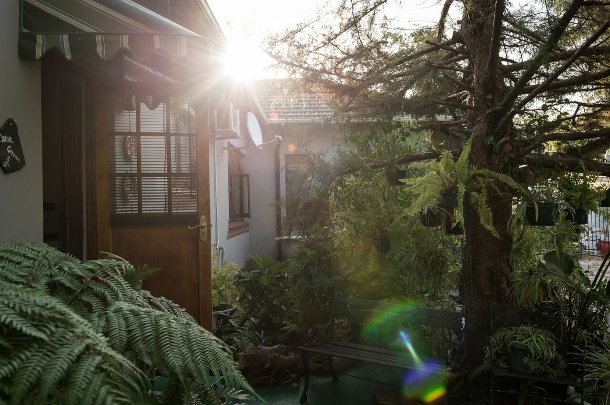 Jean-Lee Bed And Breakfast Pietermaritzburg Dış mekan fotoğraf